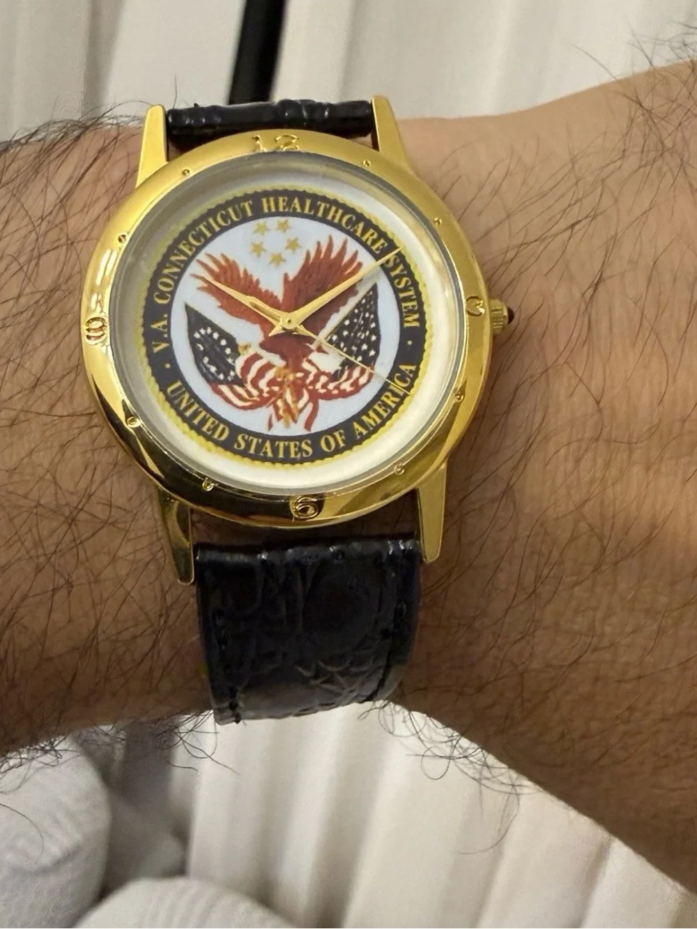 Vintage Image Watches VA Connecticut Healthcare System Quartz Watch 34.4mm